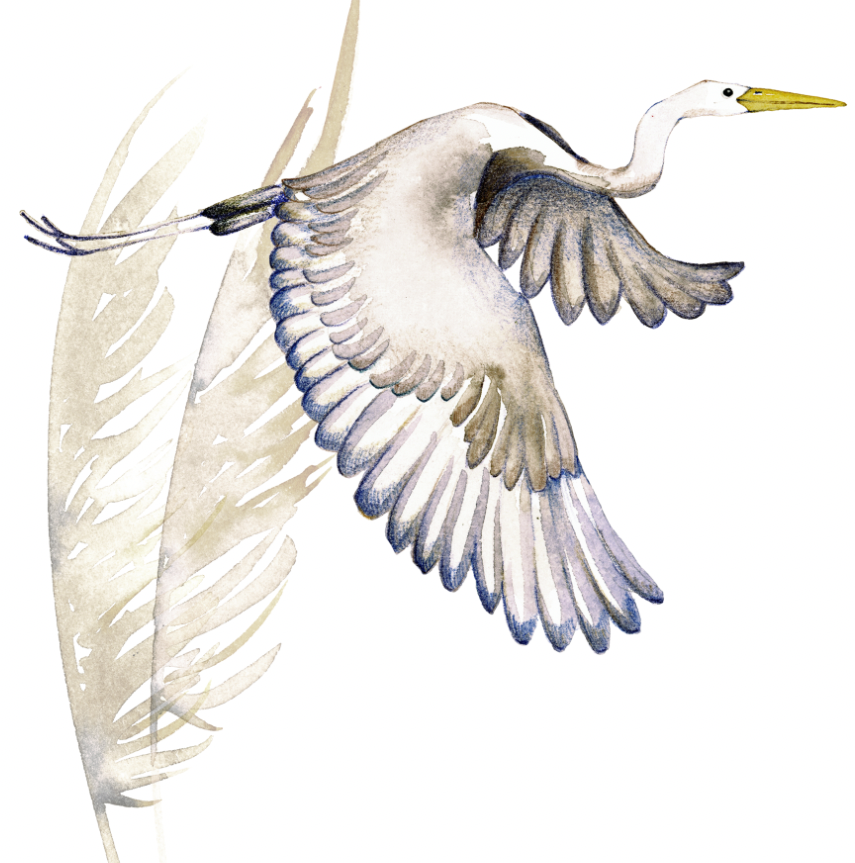 AIRONI