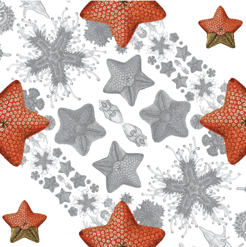 ASTERIAS