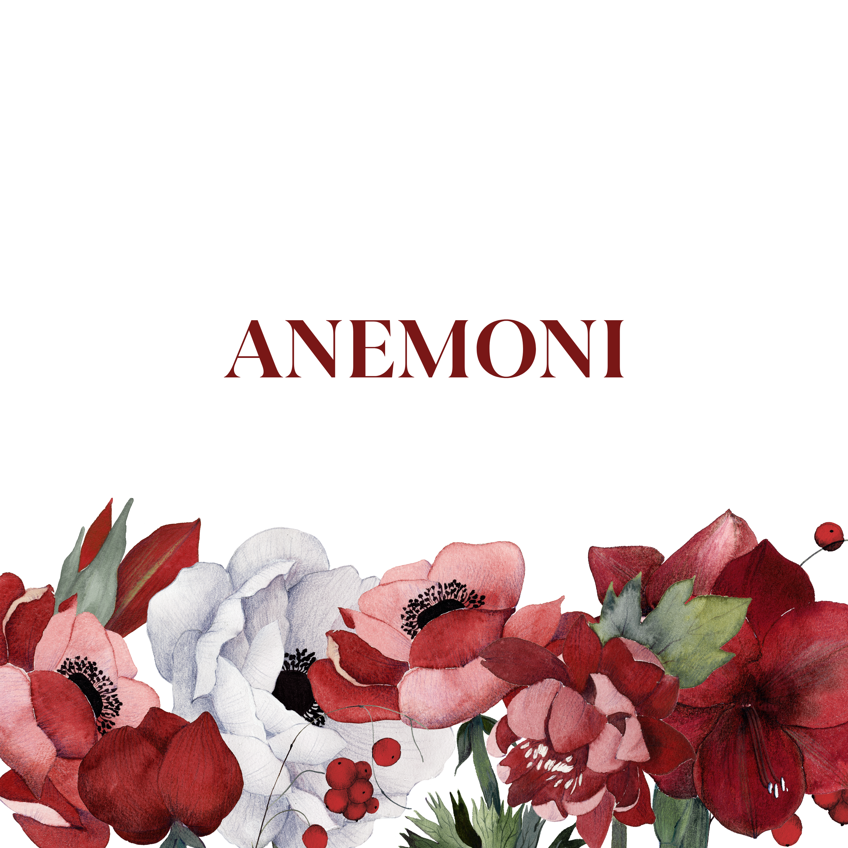 ANEMONI