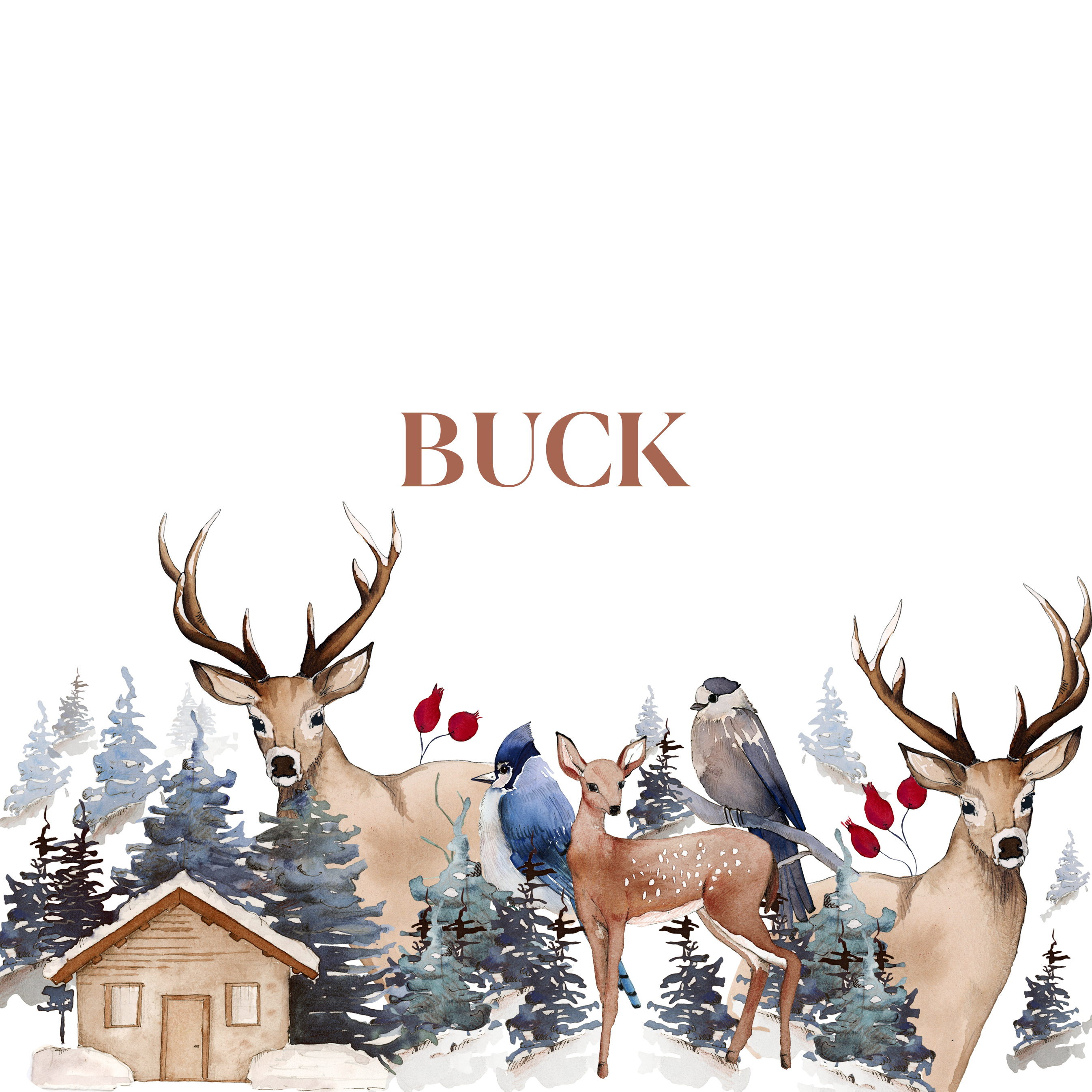BUCK