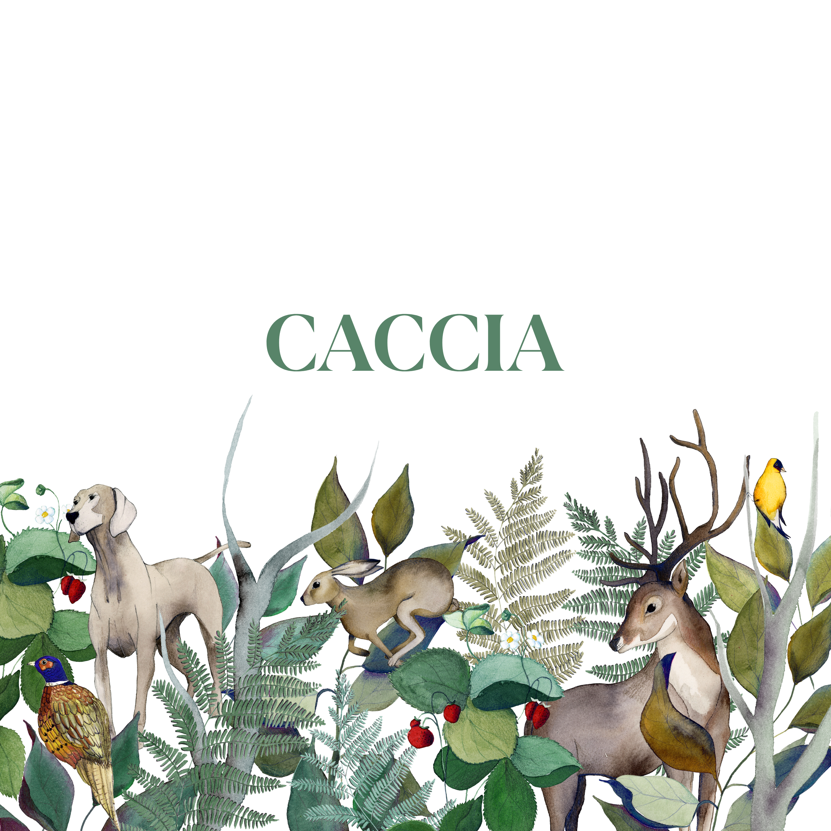 CACCIA