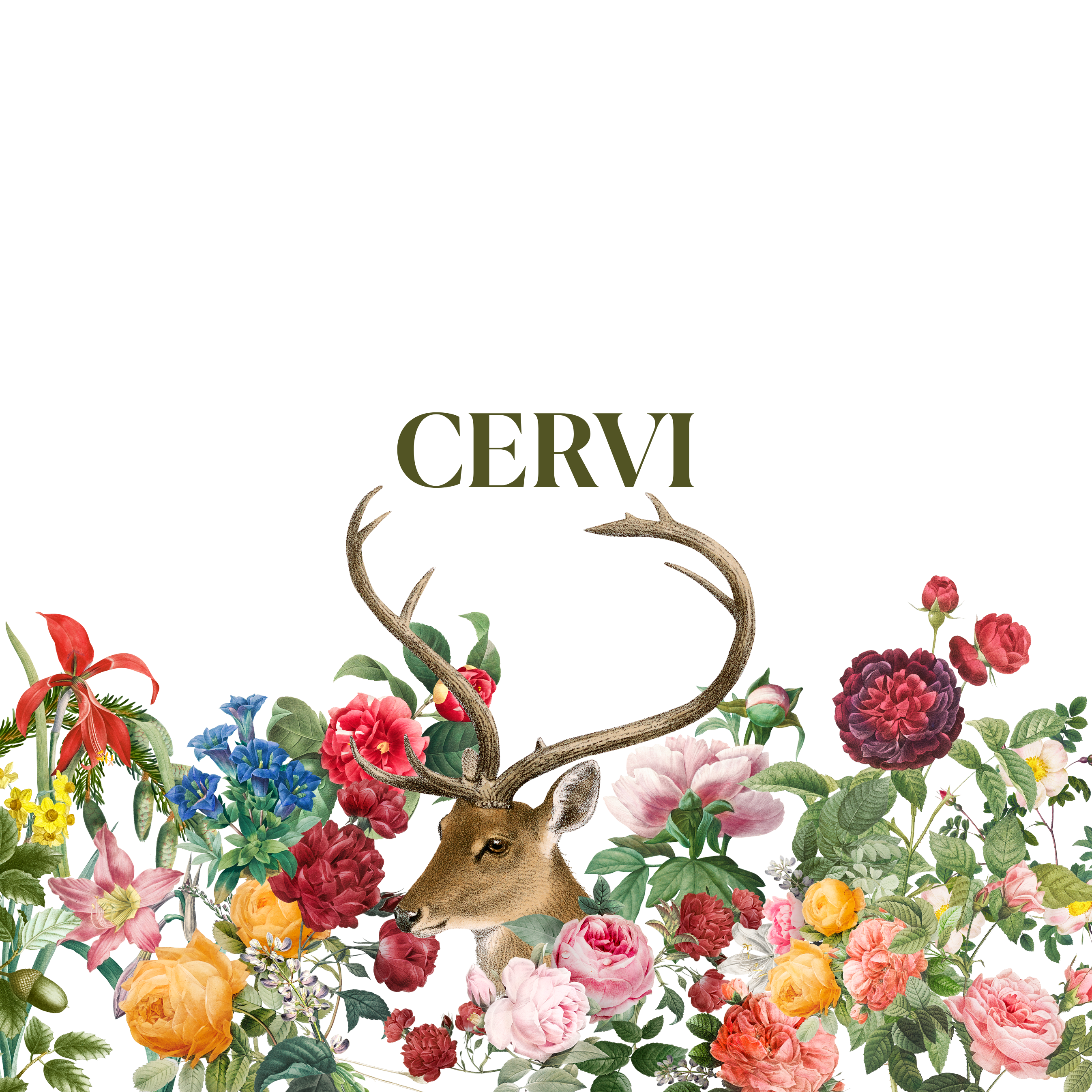 CERVI