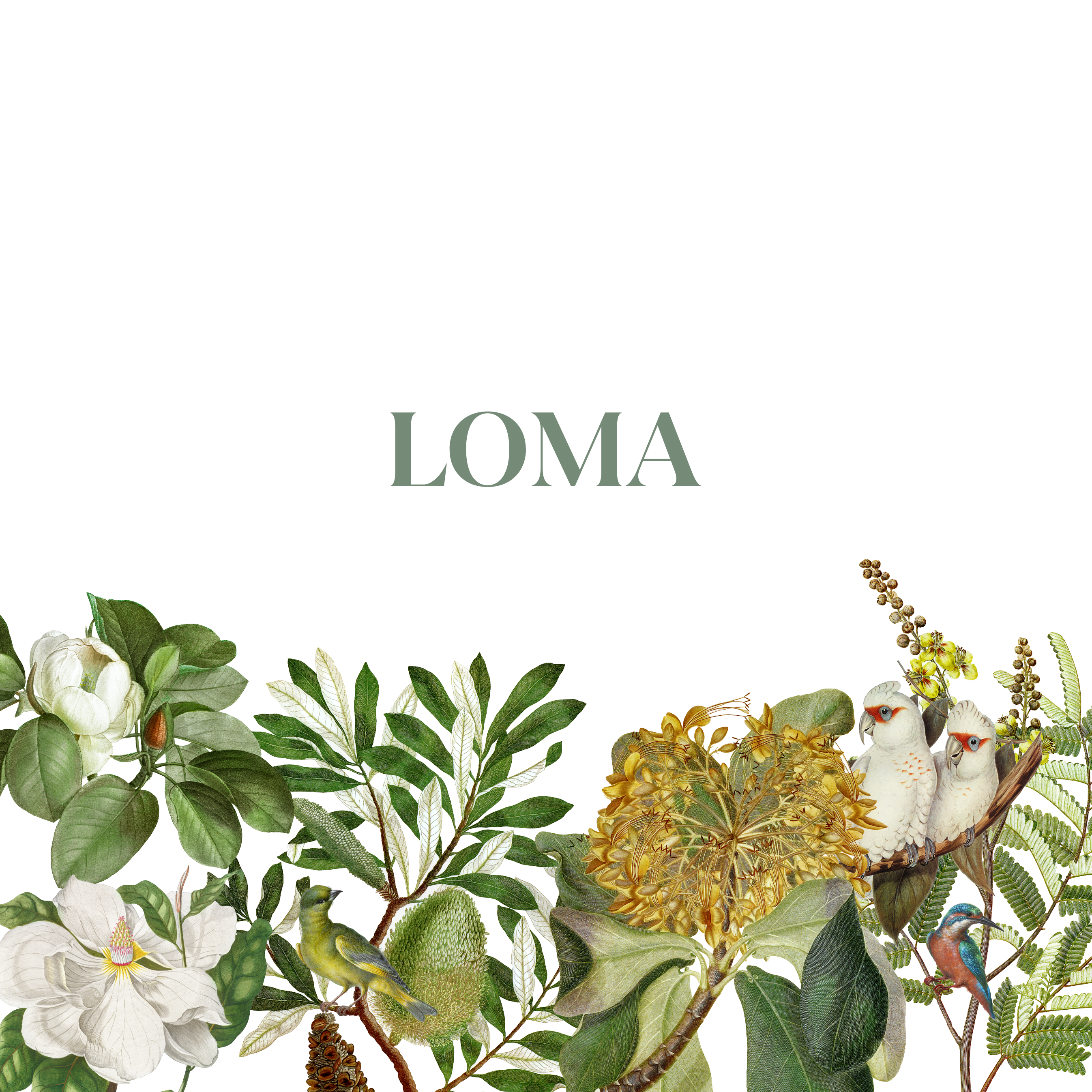 LOMA