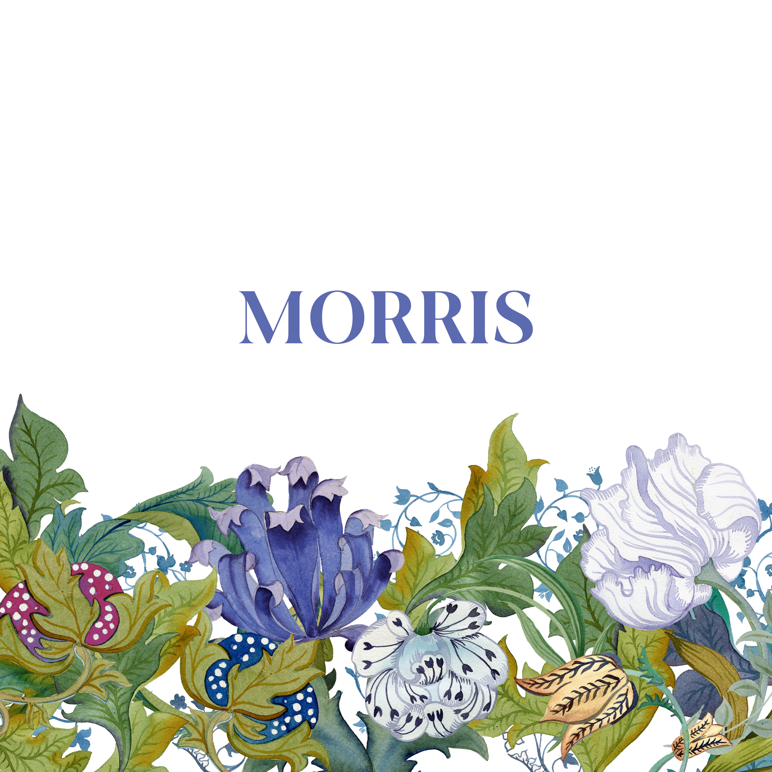 MORRIS