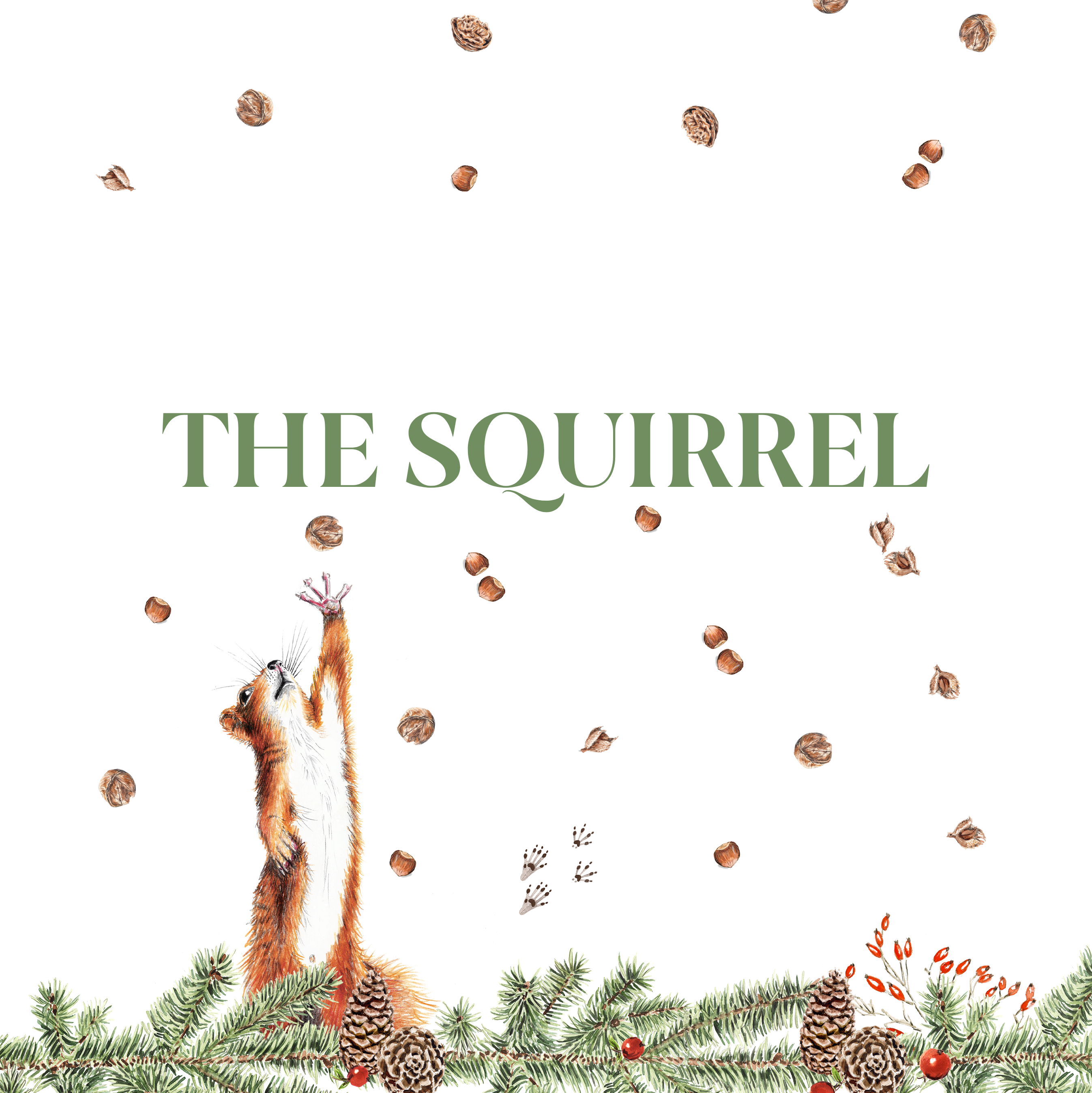 THE SQUIRREL