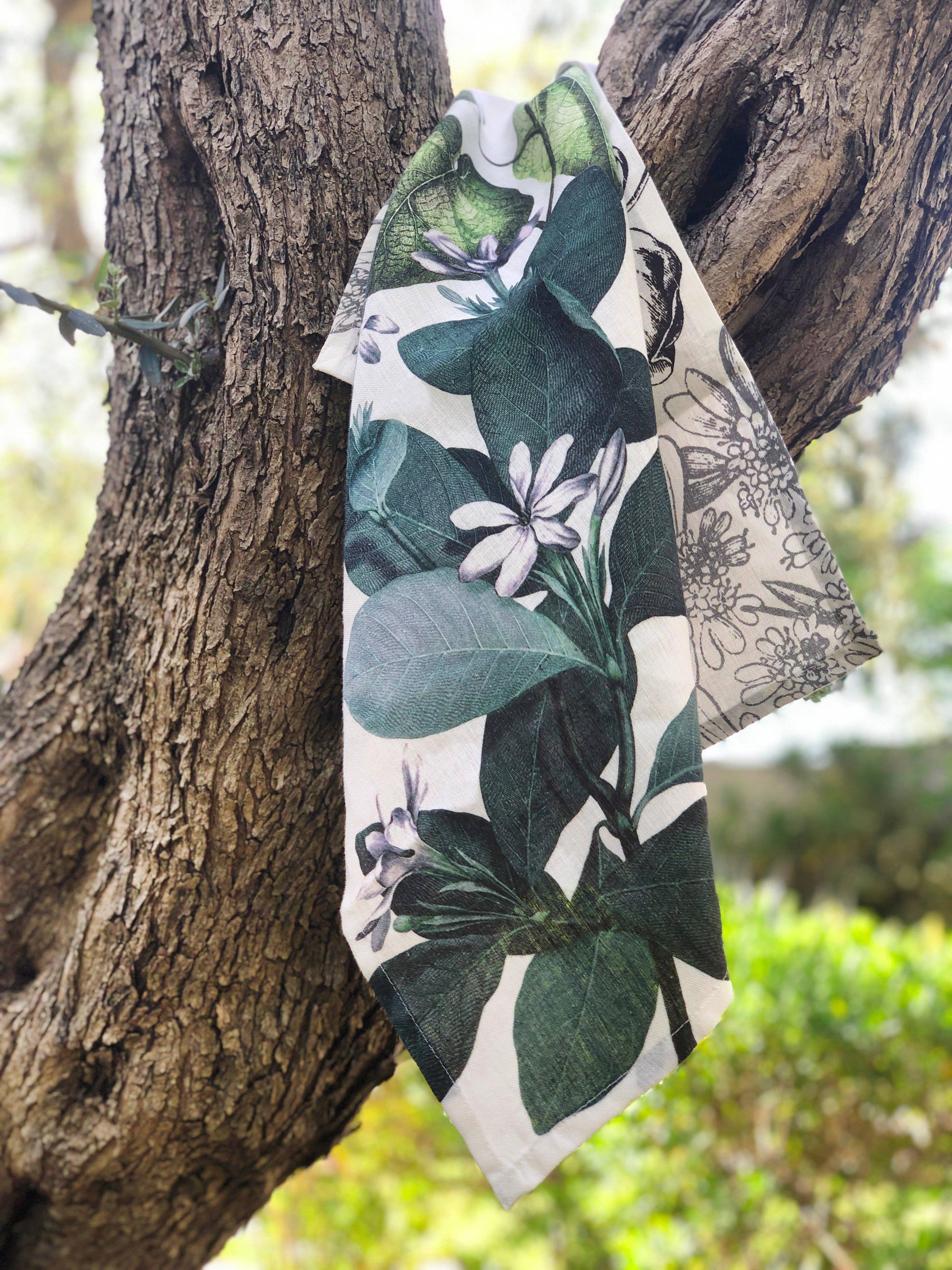 Kitchen Towels «Knighthia», 100% Made in Italy