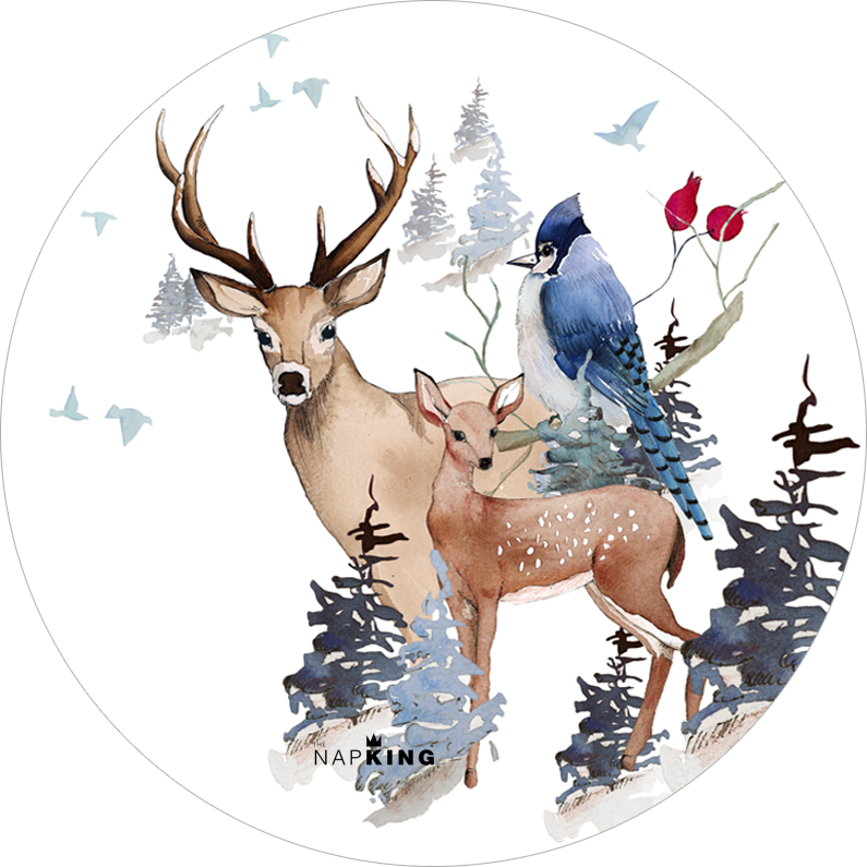 Set of 2 coasters «Buck» wood and cork - 100% Made in Italy