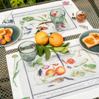 Set of 4 Placemats «Anselmus» 100% Made in Italy