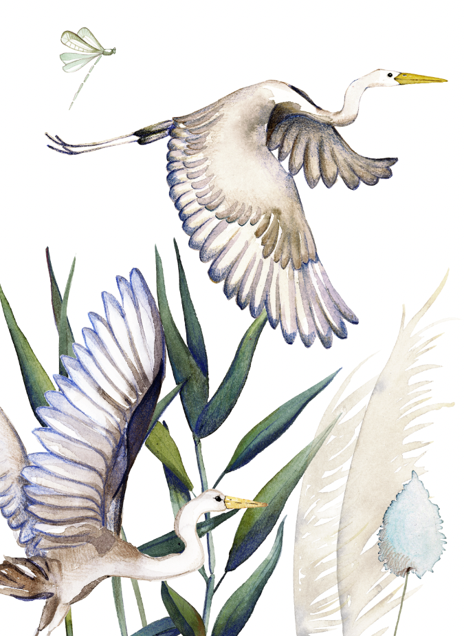 Kitchen Towels «Aironi», 100% Made in Italy The Napking