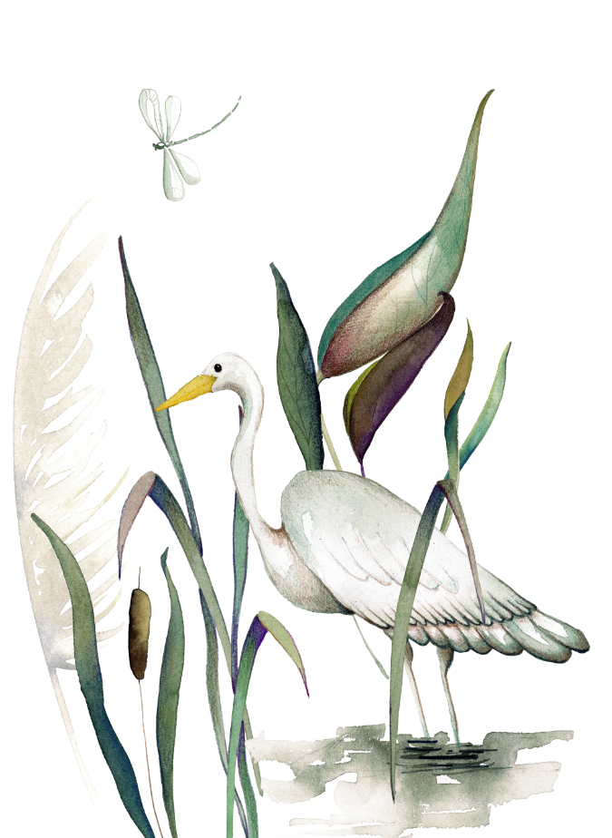 Kitchen Towels «Aironi», 100% Made in Italy The Napking