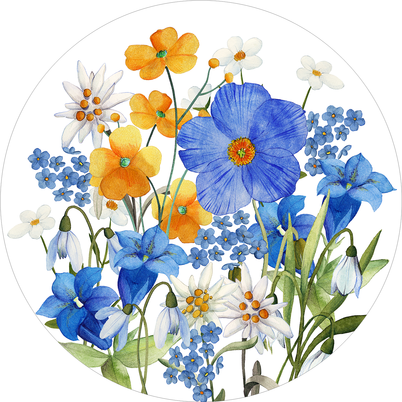 Set of 2 round hardboard placemats «Alpi flora» 100% Made in Italy - The Napking