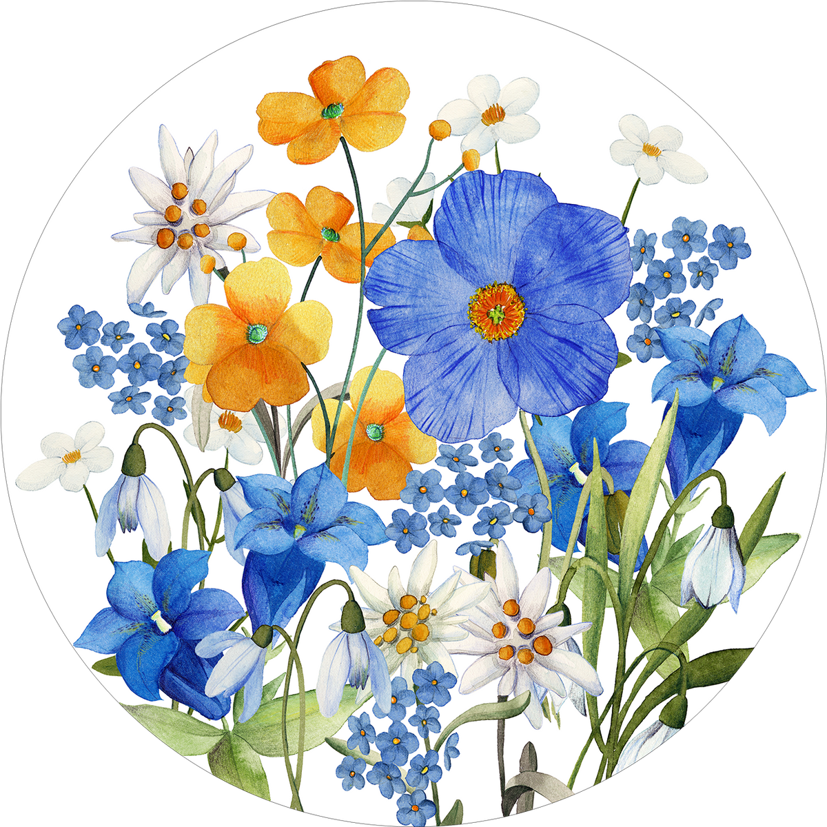 Set of 2 round hardboard placemats «Alpi flora» 100% Made in Italy - The Napking