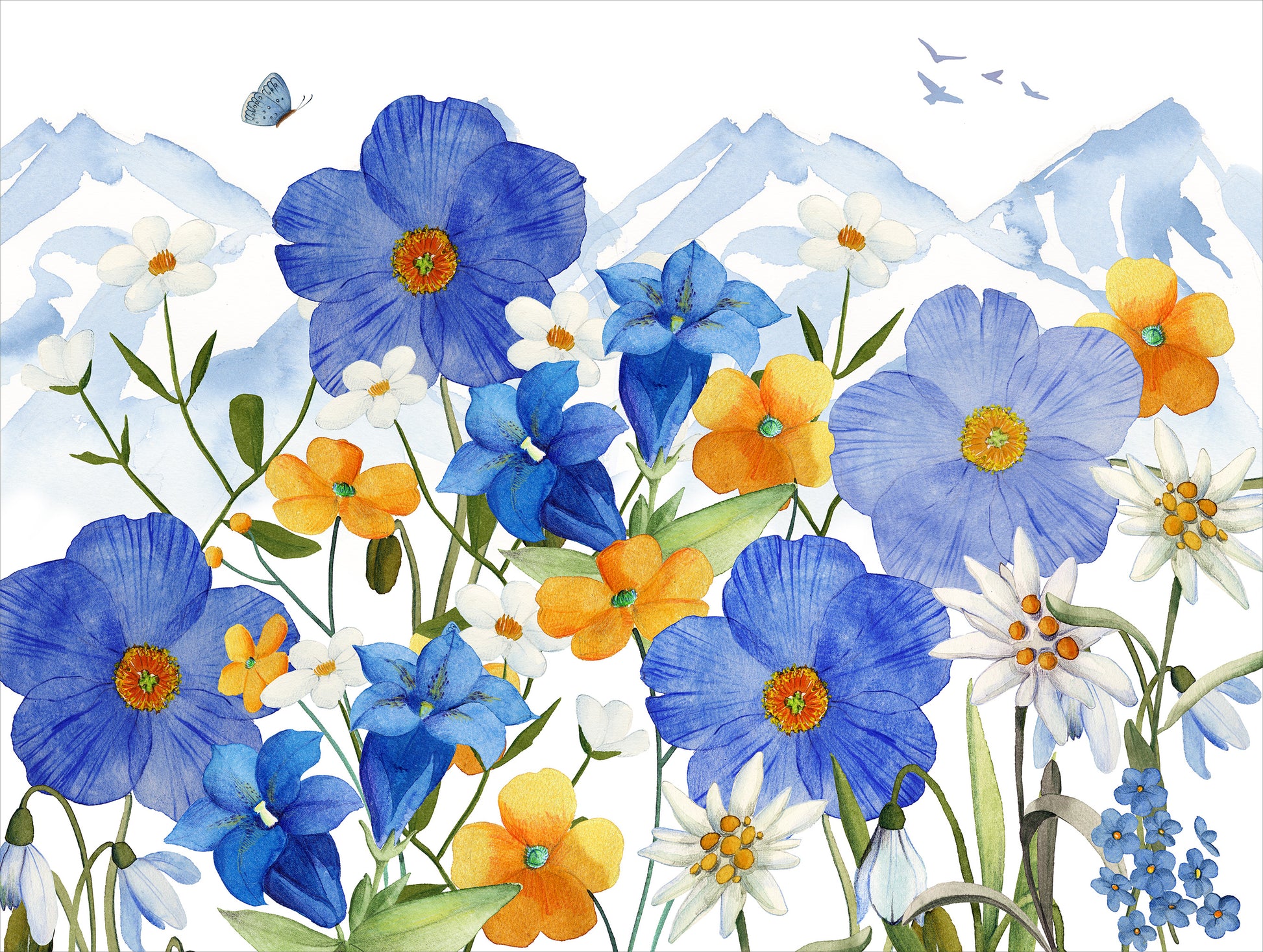 Set of 2 rectangular hardboard placemats «Alpi flora», 100% Made in Italy