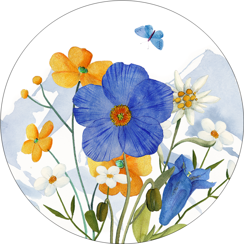 Set of 2 coasters  «Alpi flora» wood and cork - 100% Made in Italy