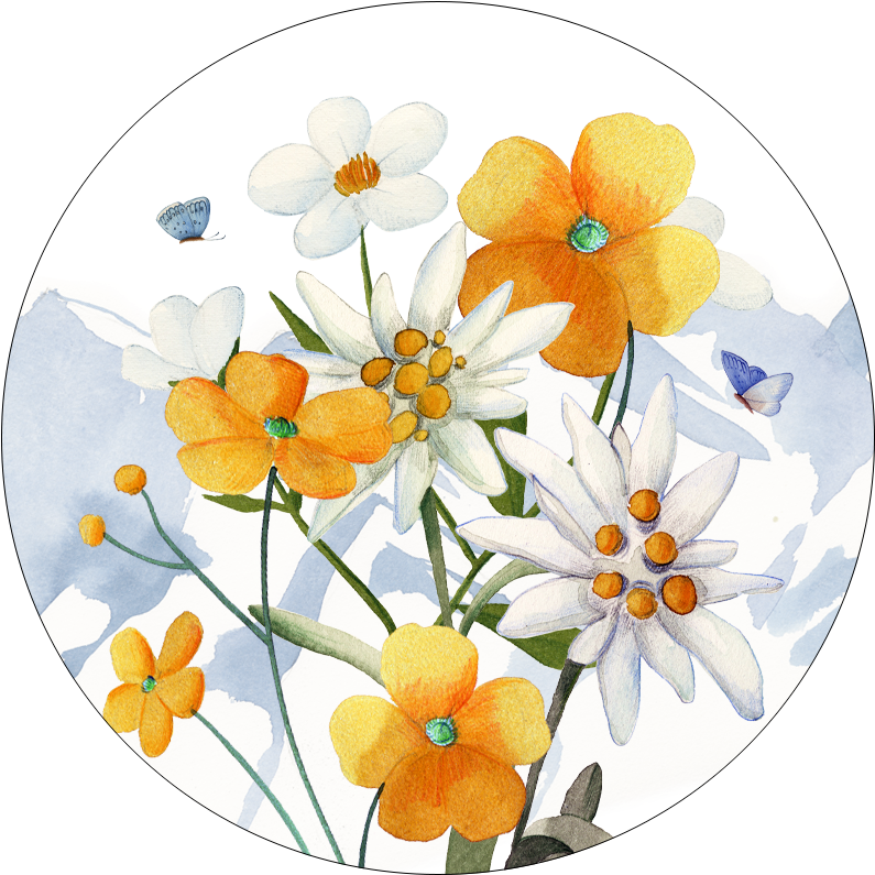 Set 2 sottobicchieri «Alpi flora» in legno e sughero - 100% Made in Italy