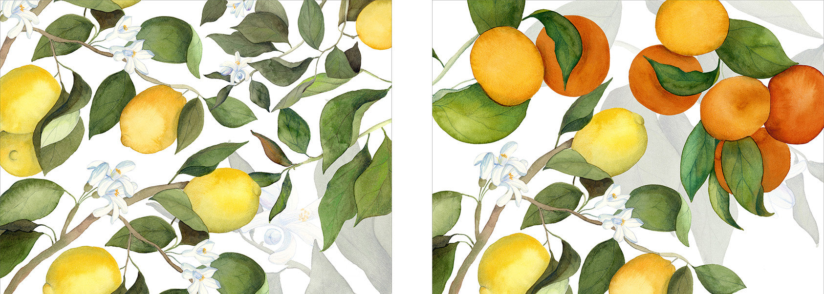 Set of 2 rectangular hardboard placemats Amalfi