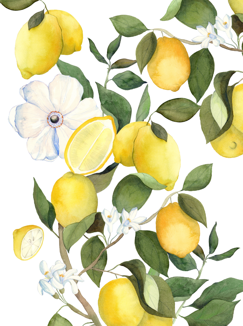 Kitchen Towels «Amalfi», 100% Made in Italy