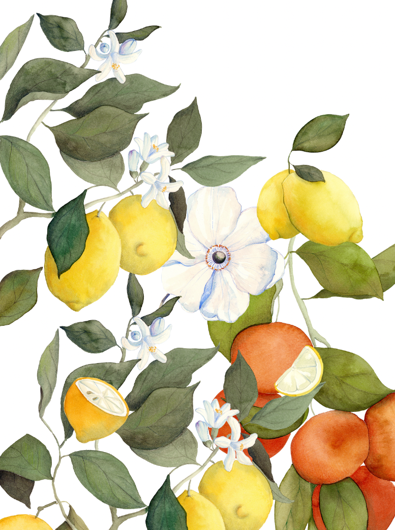 Kitchen Towels «Amalfi», 100% Made in Italy