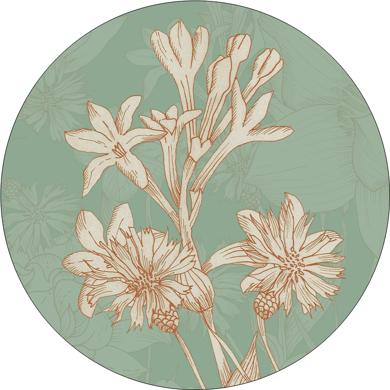 Set of 2 coasters  «Amelie» wood and cork - 100% Made in Italy