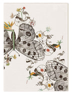 Kitchen Towels «Andrè», 100% Made in Italy