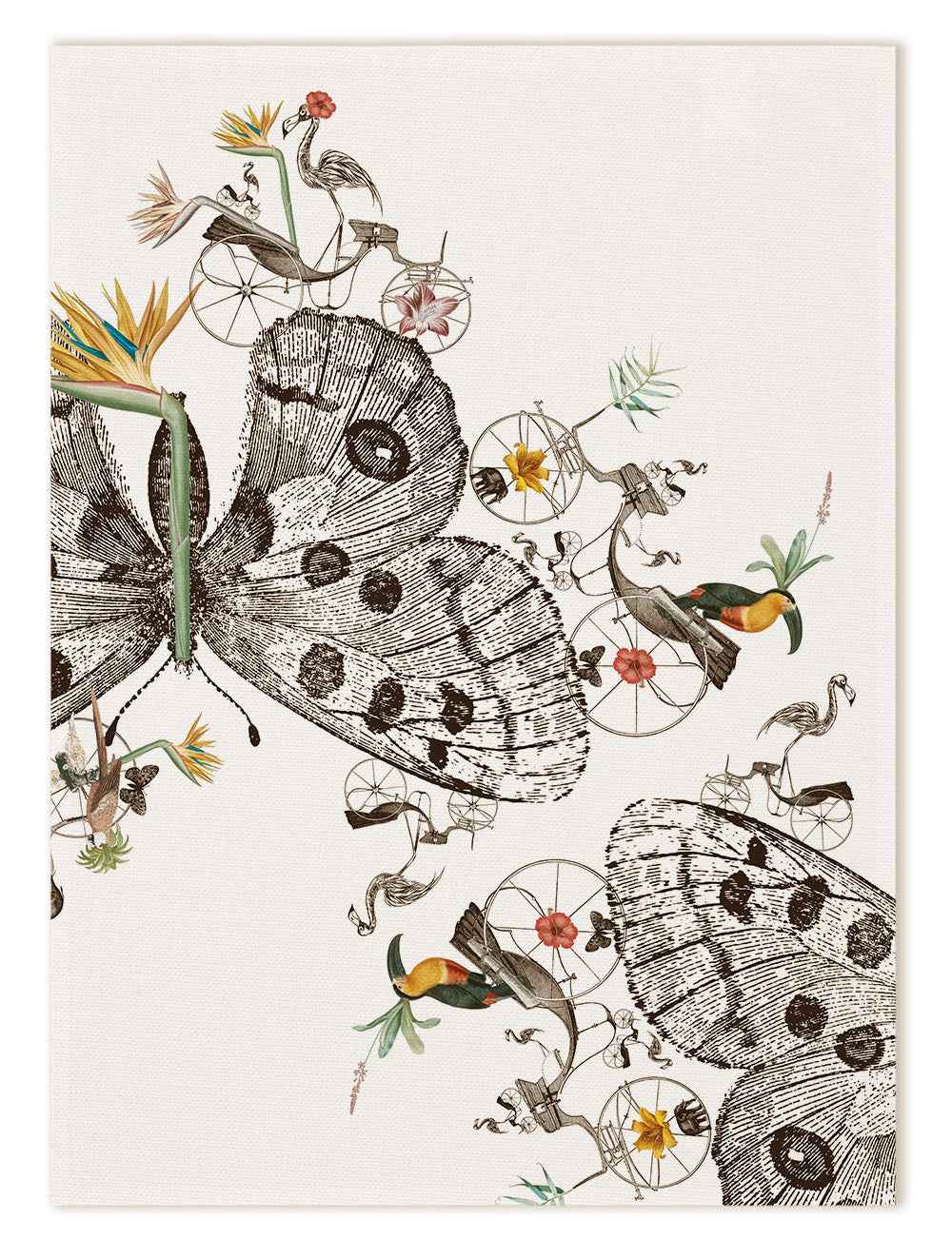 Kitchen Towels «Andrè», 100% Made in Italy