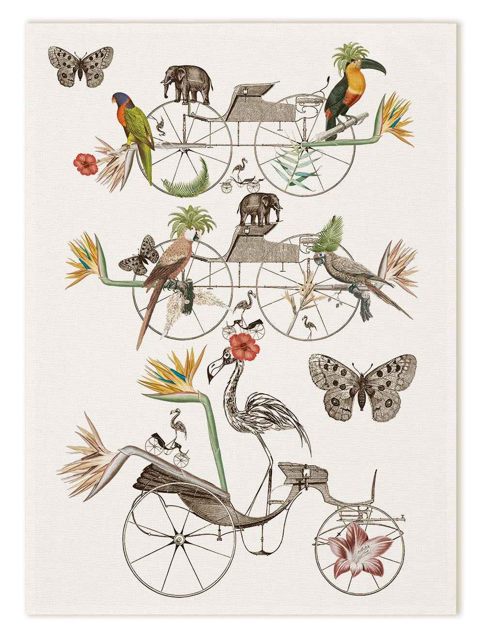 Kitchen Towels «Andrè», 100% Made in Italy