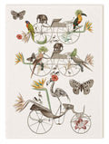 Kitchen Towels «Andrè», 100% Made in Italy