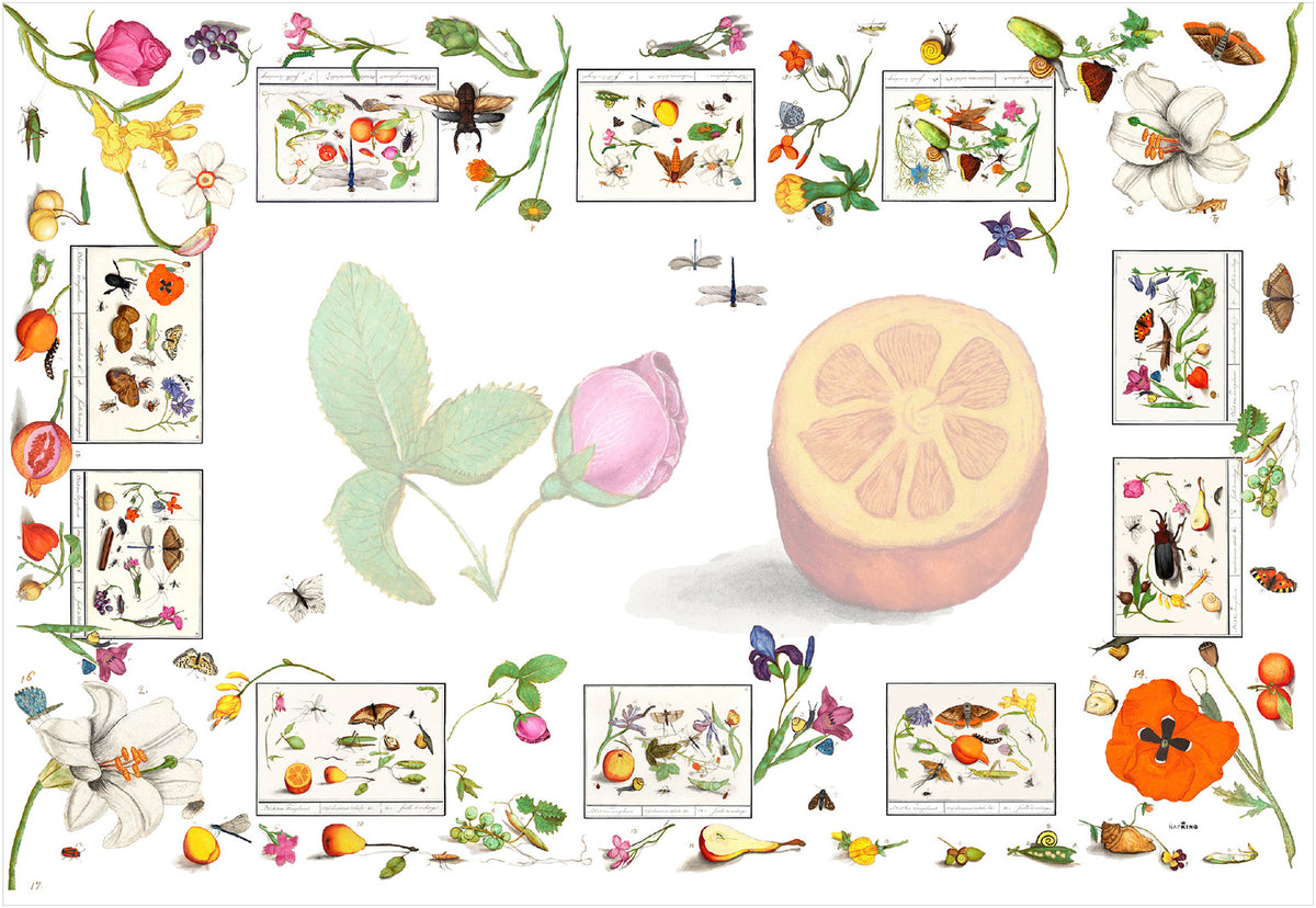Nappe en lin « Anselmus » 100 % fabriquée en Italie