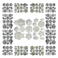 Linen Tablecloths Blastoidea 100% Made in Italy