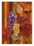 Kitchen Towels «Bacco», 100% Made in Italy