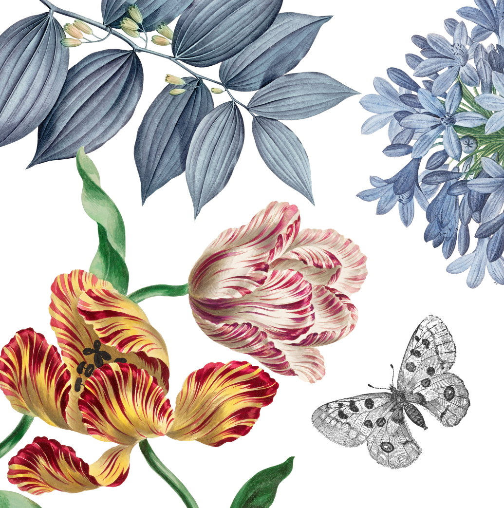 Cushion Bagatelle 100% Made in Italy The Napking