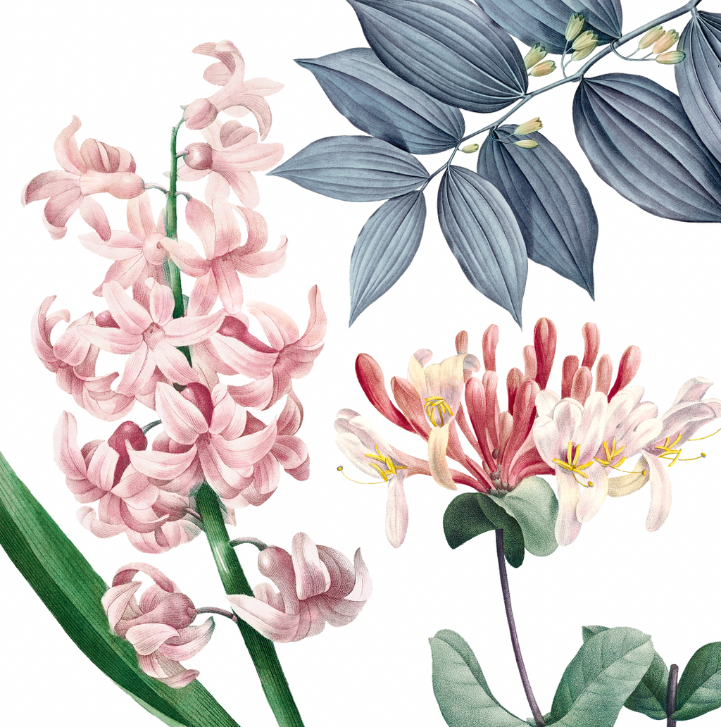 Cushion Bagatelle 100% Made in Italy The Napking