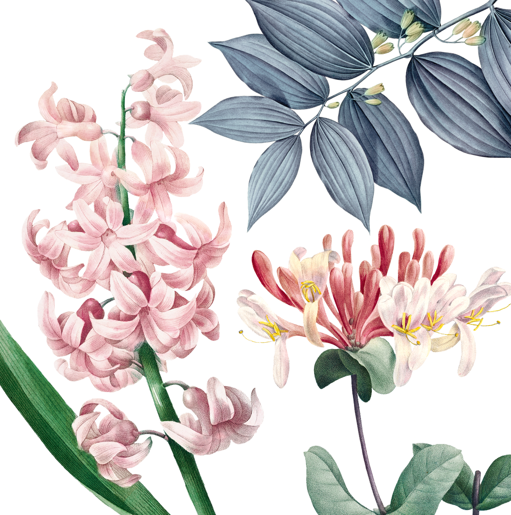 Cushion Bagatelle 100% Made in Italy The Napking