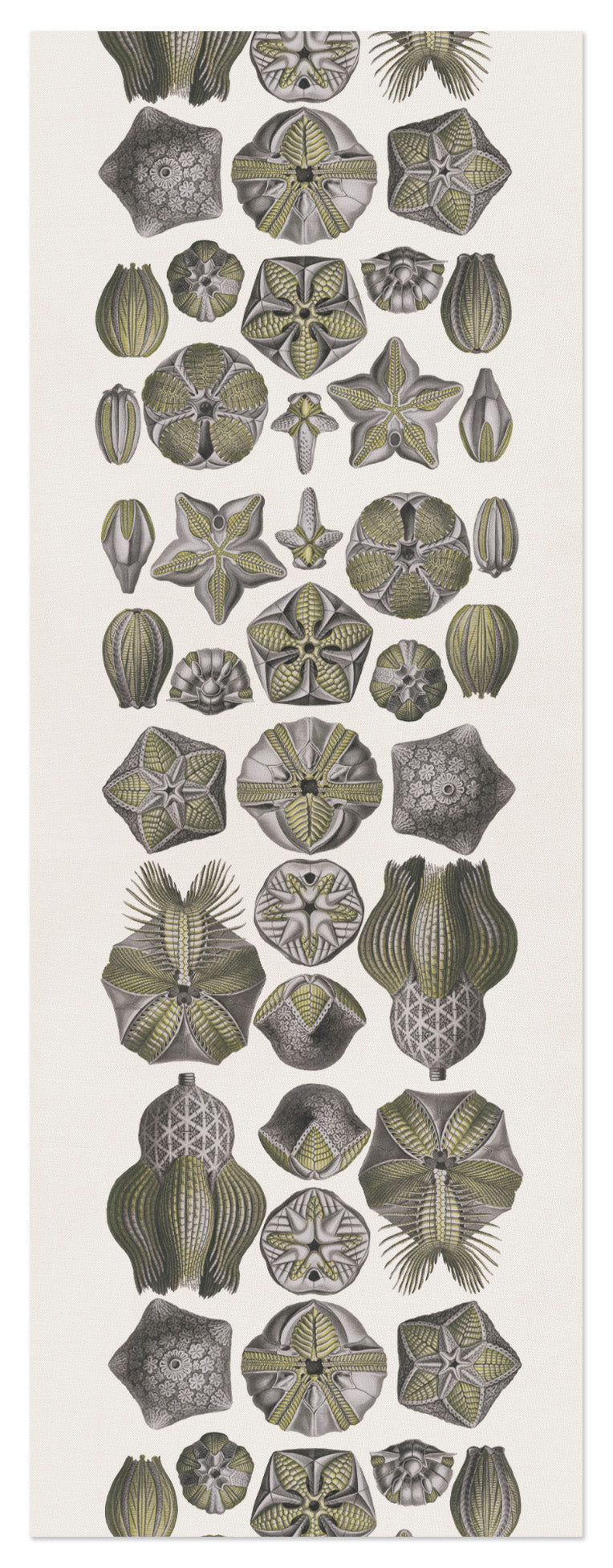 Linen Runner «Blastoidea» 100% Made in Italy