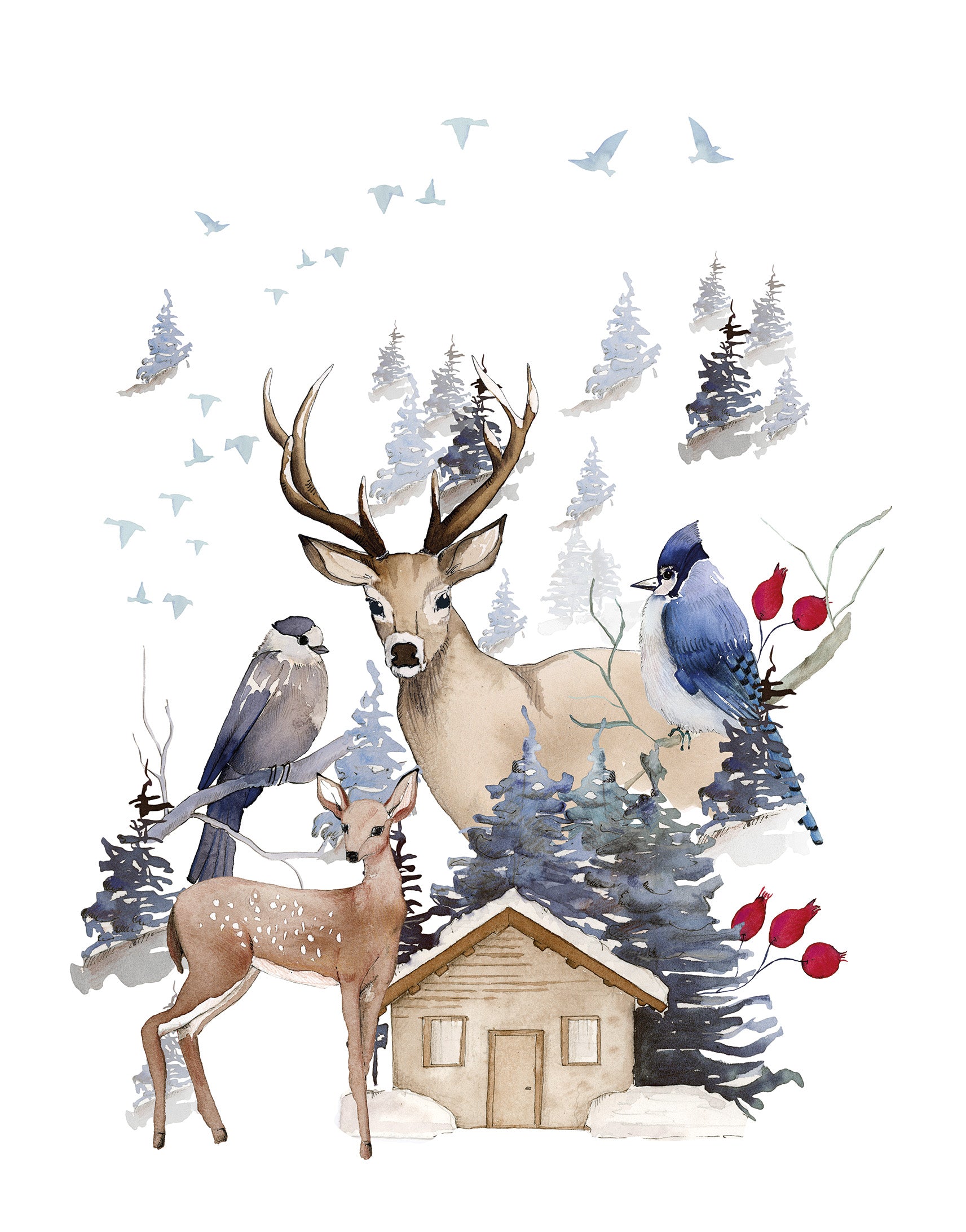 Velvet Plaid Buck 100% Made in Italy