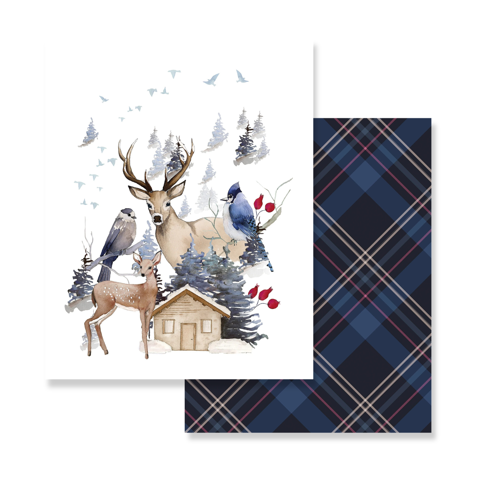Buck Plaid Velvet