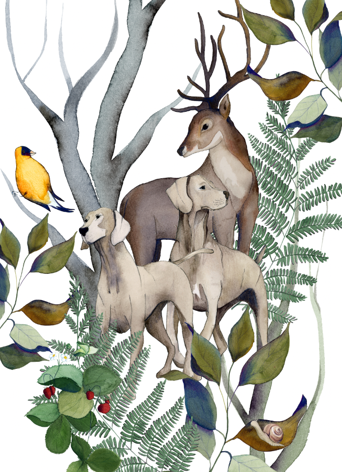 Strofinacci da Cucina Caccia 100% Made in Italy