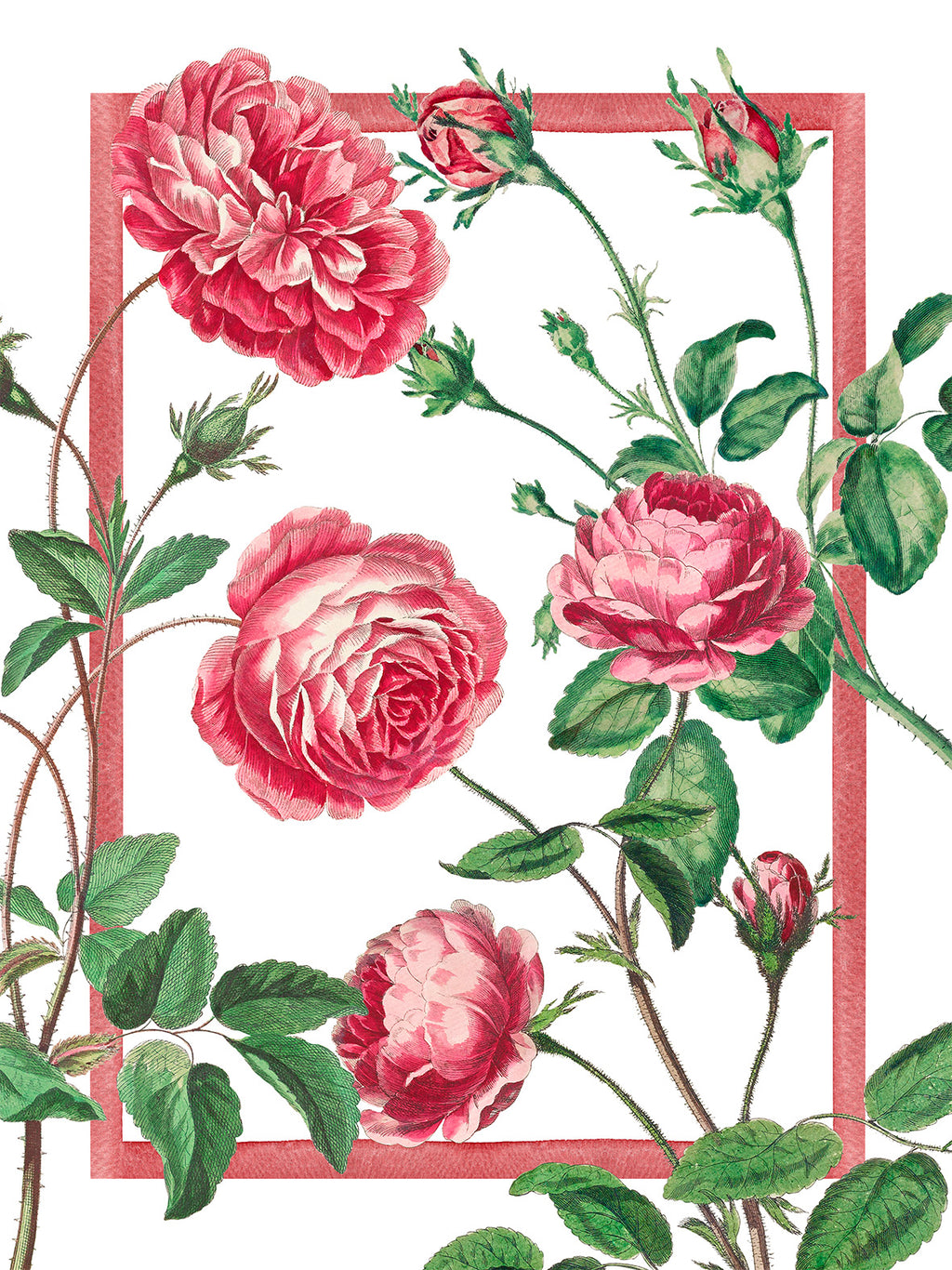 Kitchen Towels Cecile, Premium Quality Linen 100% Made in Italy