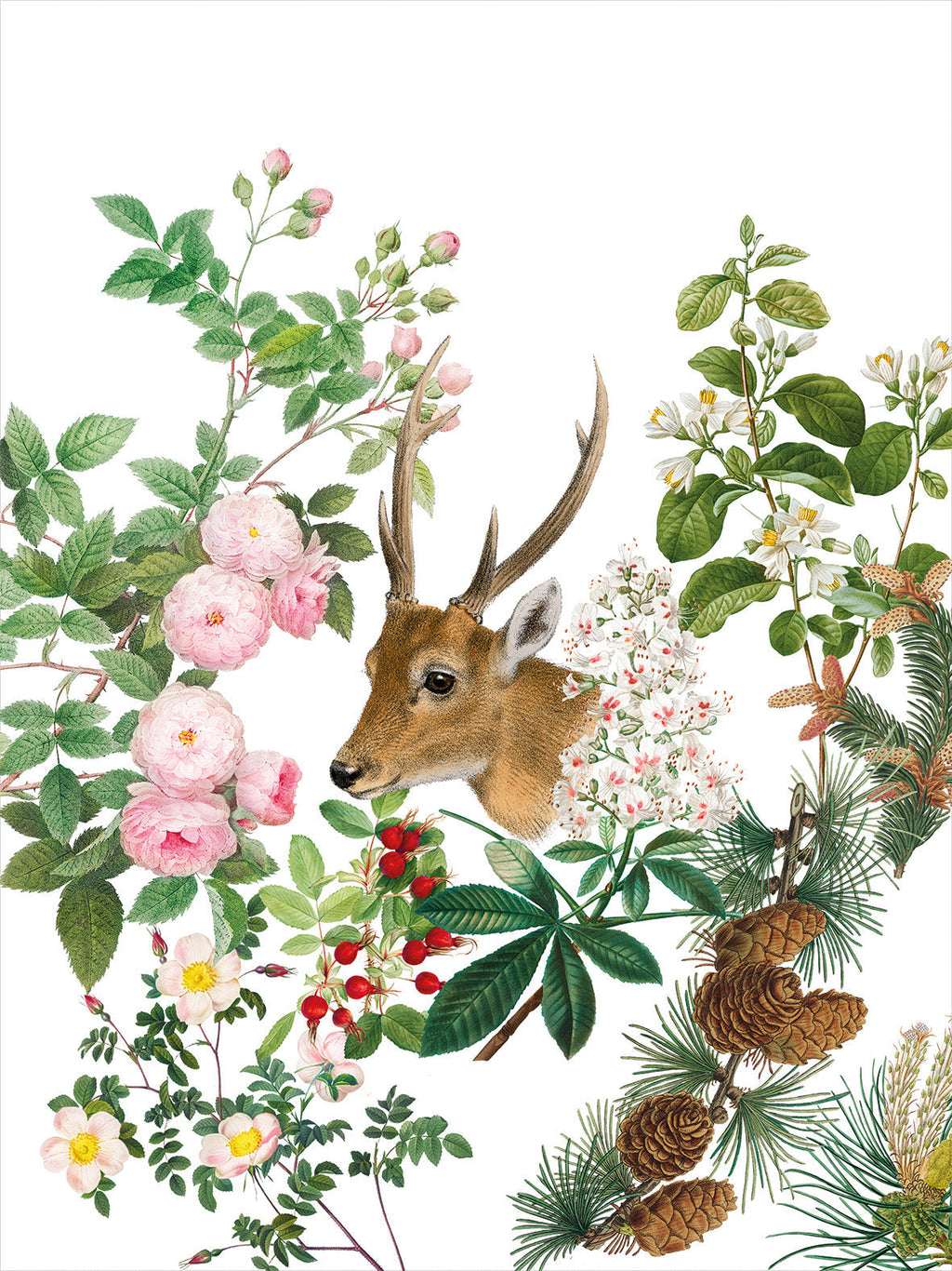 Kitchen Towels Cervi 100% Made in Italy The Napking