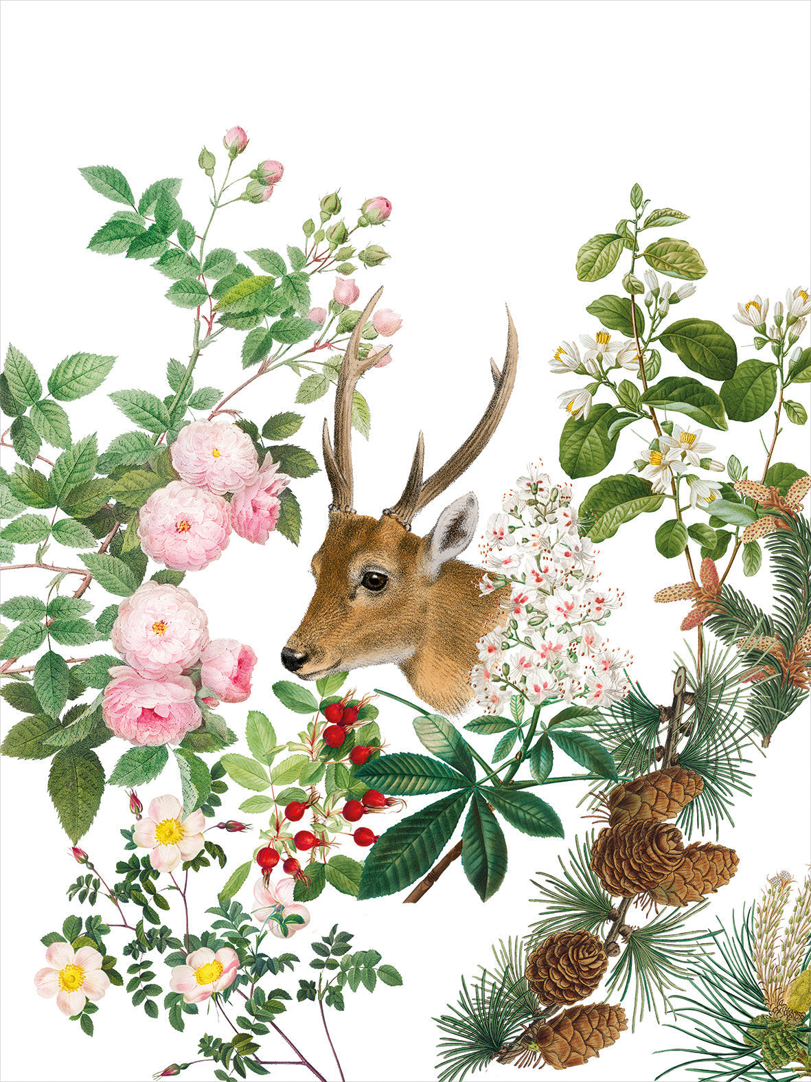 Kitchen Towels Cervi 100% Made in Italy The Napking