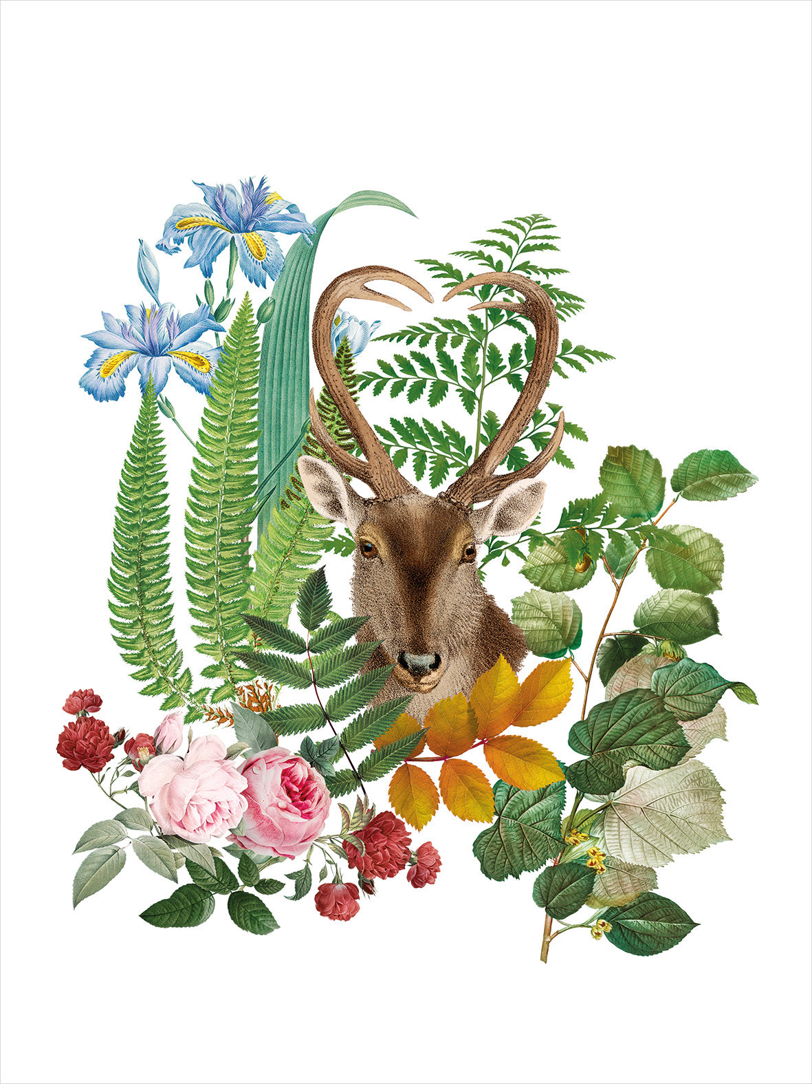 Strofinacci da cucina Cervi 100% Made in Italy