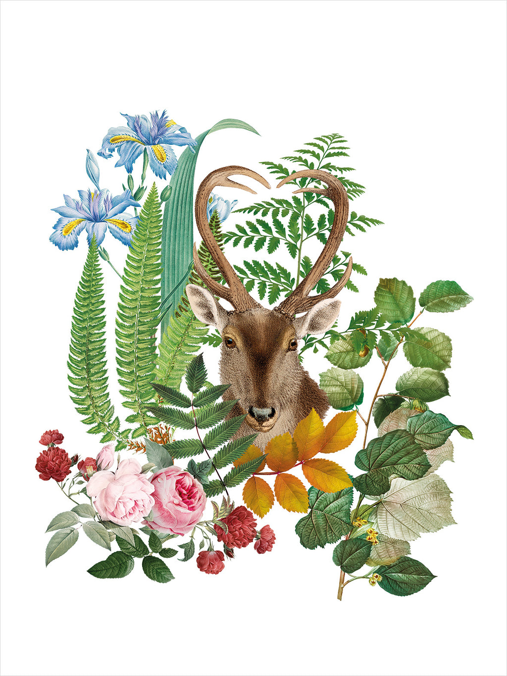 Strofinacci da cucina Cervi 100% Made in Italy