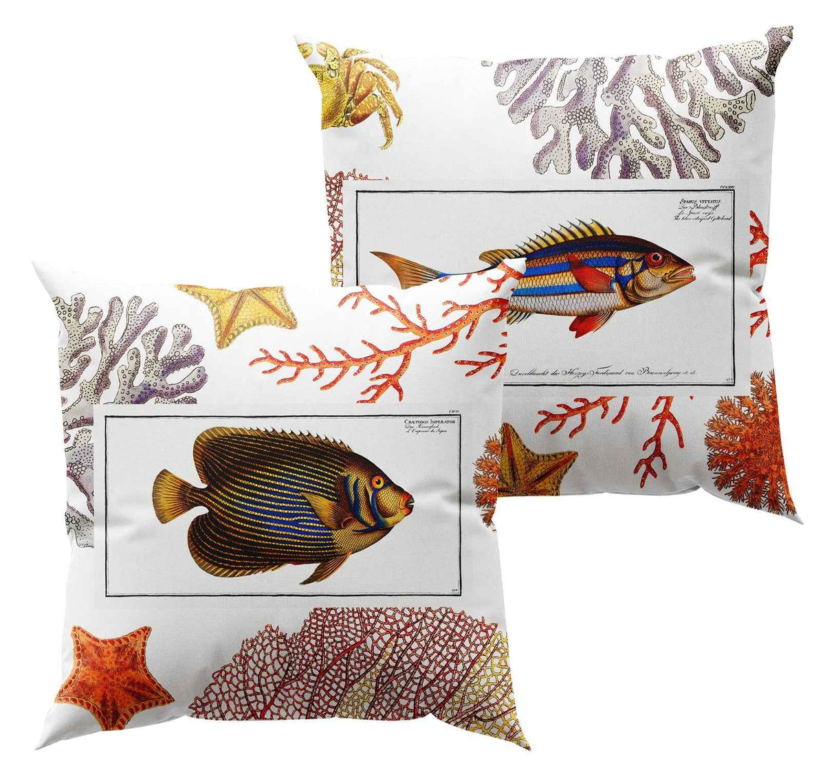 Cushion «Coral Bay», 100% Made in Italy