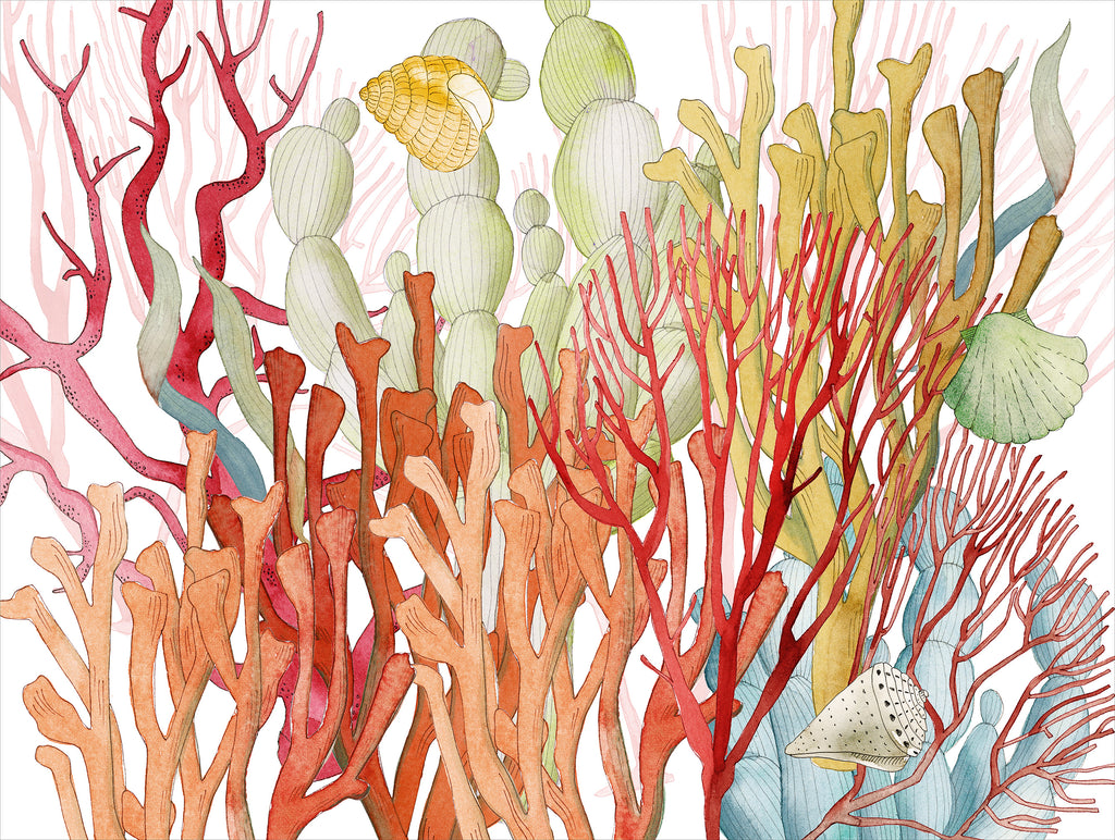 Set of 2 rectangular hardboard placemats «Corals», 100% Made in Italy