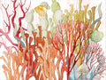 Set of 2 rectangular hardboard placemats «Corals», 100% Made in Italy