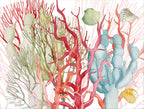 Set of 2 rectangular hardboard placemats «Corals», 100% Made in Italy