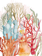 Kitchen Towels «Corals», Premium Quality Linen 100% Made in Italy - The Napking