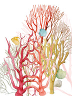 Kitchen Towels «Corals», Premium Quality Linen 100% Made in Italy - The Napking