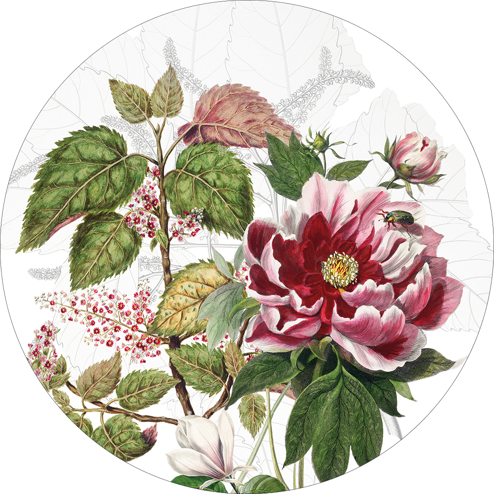 Set of 2 round hardboard placemats Dafne The Napking