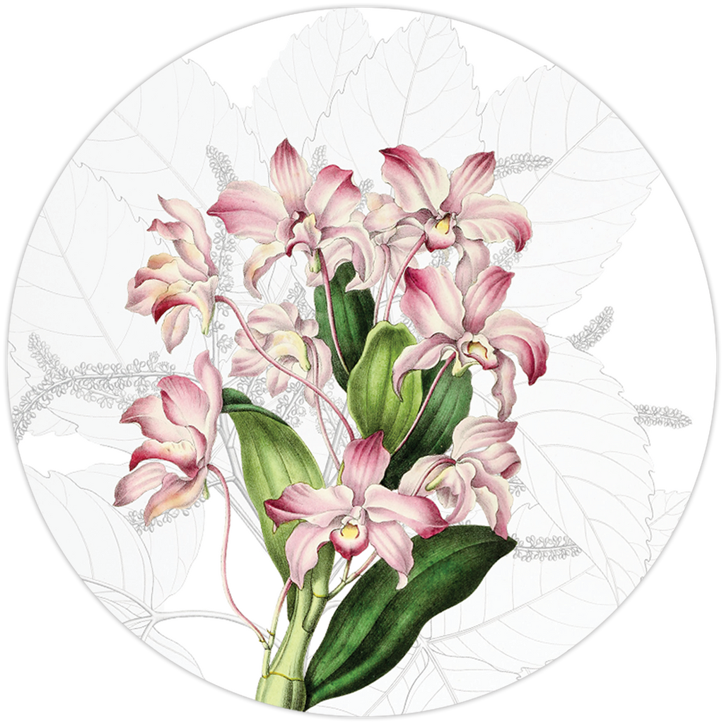 Set of 2 coasters Dafne wood cork The Napking